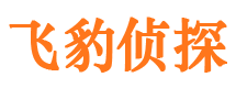 正宁捉小三公司